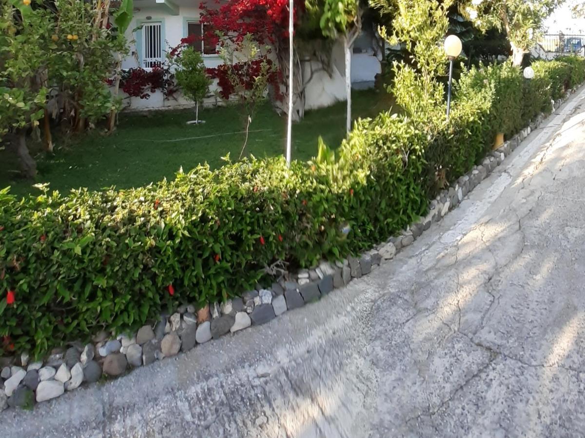 Zikas Apartments Marmari  Luaran gambar
